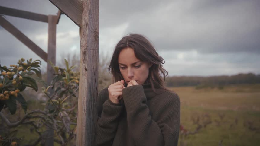 Leaning against a rustic wooden beam on a cloudy day a young woman in an oversized sweater gazes thoughtfully into the distance before turning to gently pluck a leaf from a nearby branch