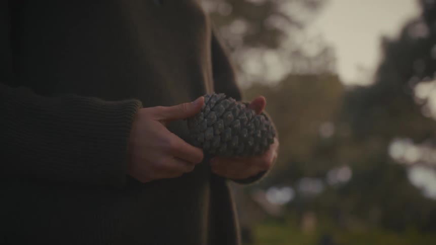Person holding a large pine cone with both hands in front of blurred trees