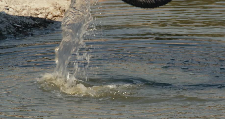 The elephant is drinking water from the stream