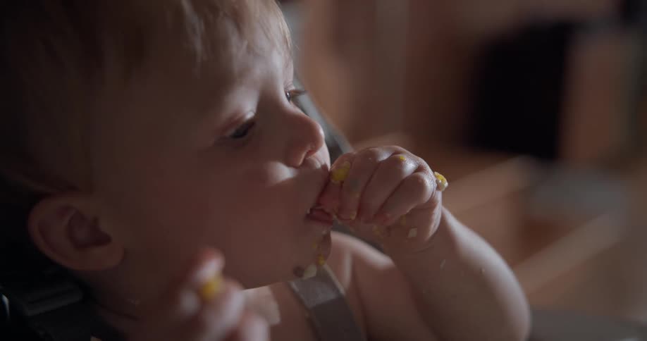 Baby brings food to the mouth with hands while seated in a high chair