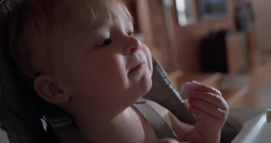Baby sitting in a high chair holding a piece of food