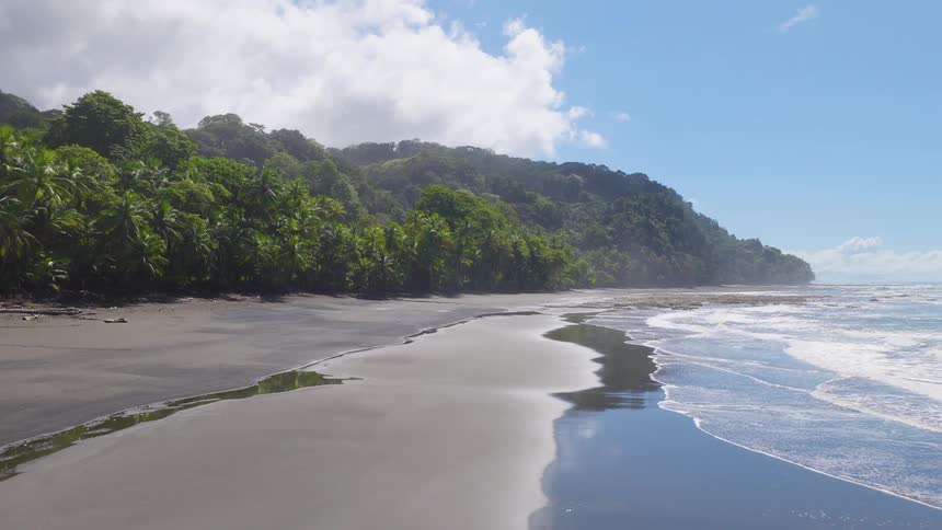 Waves roll in to shore and over the beach as trees and vegetation cover the promontory overlooking the coast