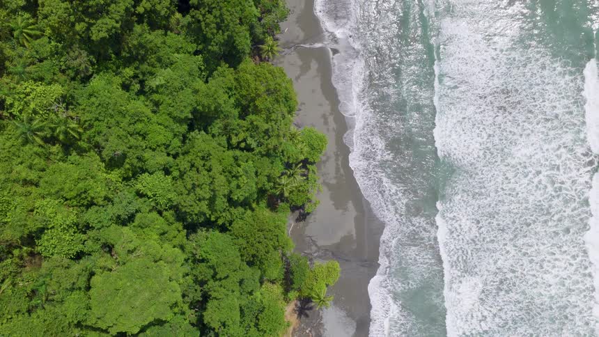 A stunning topdown aerial view slowly rises over a tropical coastline where a lush green jungle meets the powerful white waves of the ocean