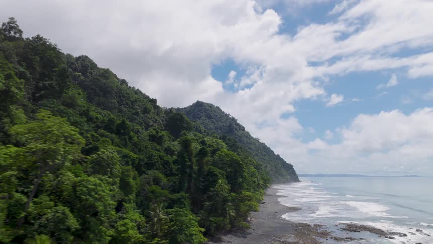 Waves roll in to shore and over the beach as trees and vegetation cover the promontory overlooking the coast
