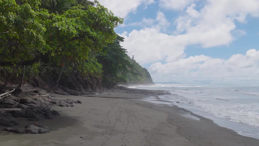 Waves roll in to shore and over the beach as trees and vegetation cover the promontory overlooking the coast