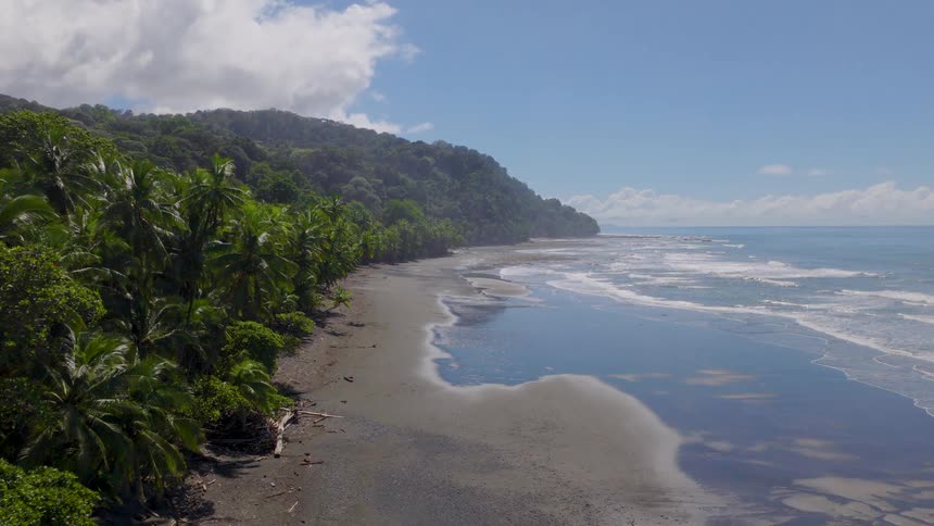Tropical vegetation borders light sandy beach with gentle waves