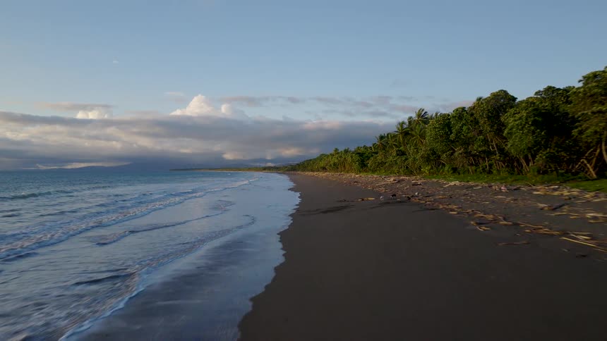 Dark sand bordered by palm trees and gentle waves