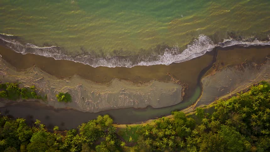 Aerial of a sandy beach surrounded by green vegetation during daytime
