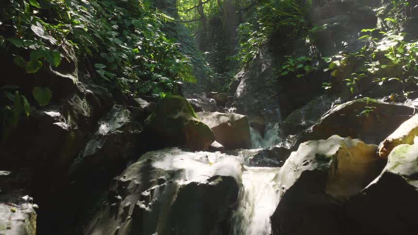 Waterfall flows over rocks surrounded by dense vegetation under filtered light