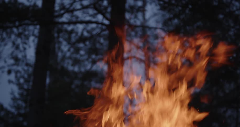 A close up view of a fire burning