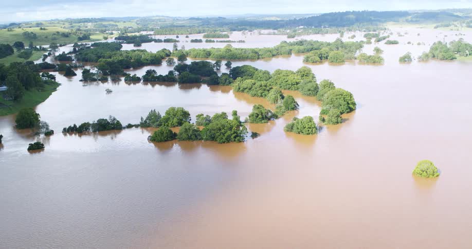 Muddy flood water surrounds multiple groves of trees on a cloudy day