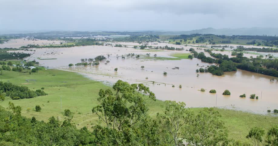 A flooded area in a rural community surrounded by grasses and trees at midday