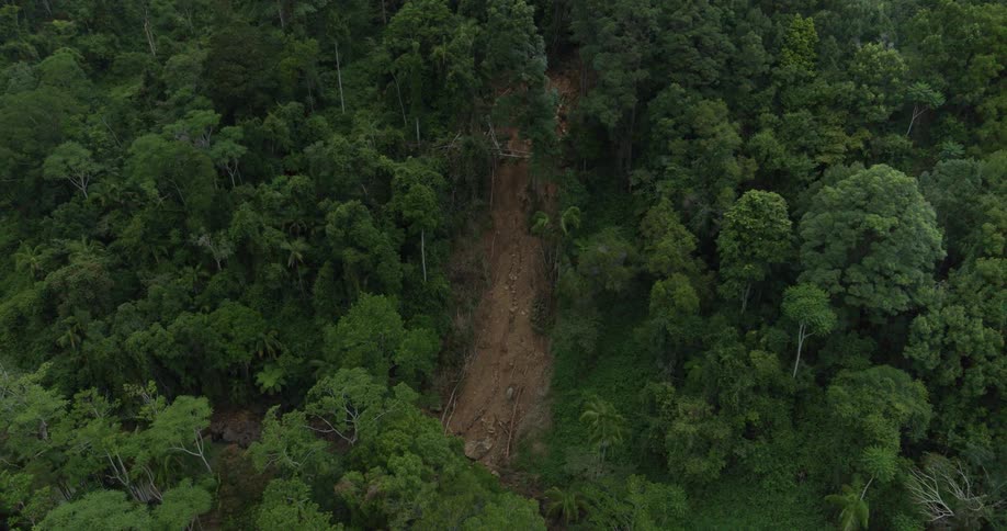 An aerial view shows a massive vertical landslide scar cutting a wide path through a steep dense green rainforest canopy the exposed path is a long channel of brown muddy earth and scattered debris indicating significant erosion
