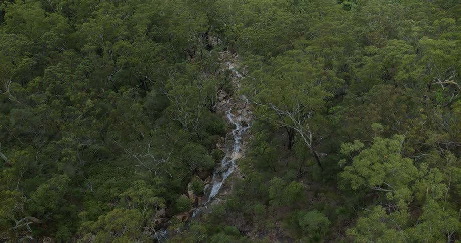 An aerial view of a small river nestled within a dense forest of green trees