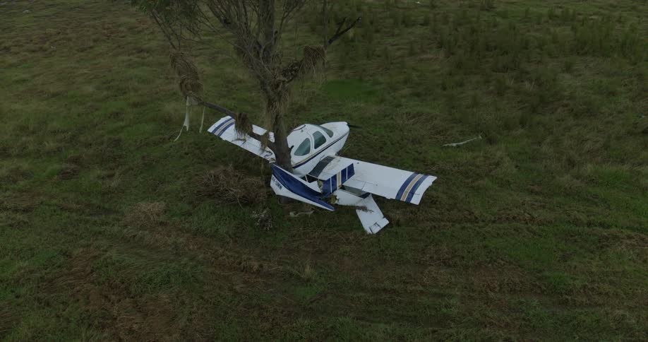 Light aircraft crashed into tree in grassy field with visible fuselage damage