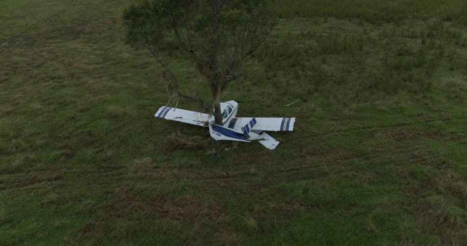 An aerial view shows the wreckage of a small white and blue airplane that crashed into and is wrapped around the trunk of a single tree in a dark green grassy field
