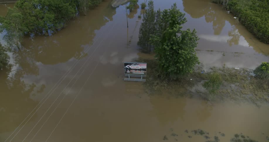 Urban area covered by flooded water surrounded by trees outdoors during day time