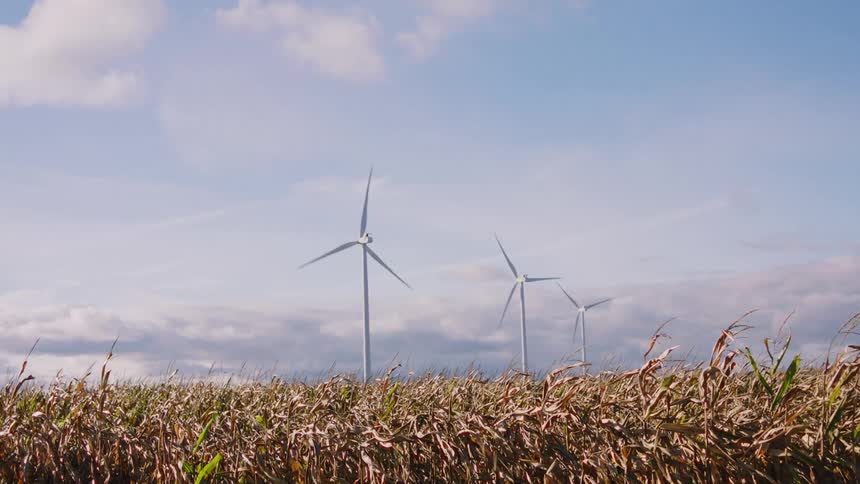 Turbines spin on a wind farm overlooking a corn field