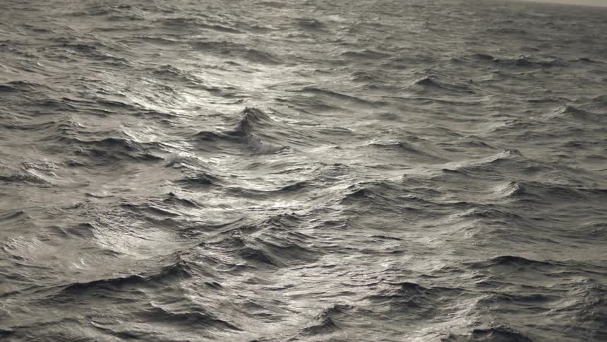 Waves rise and fall as they move in the ocean