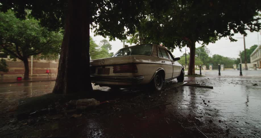 Car parked under a tree as it rains