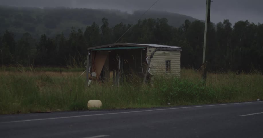 Damaged metal and wood shack in grassy field beside road with forest in background