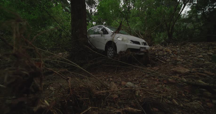 A white car is partially buried in mud and debris after a flash flood stuck against a tree in a lush green forest