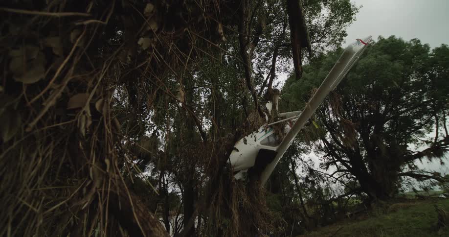 Small airplane stuck sideways in a tree