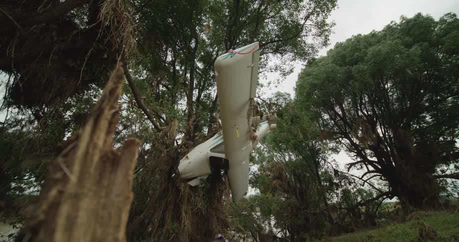 Small airplane stuck upside down in a tree