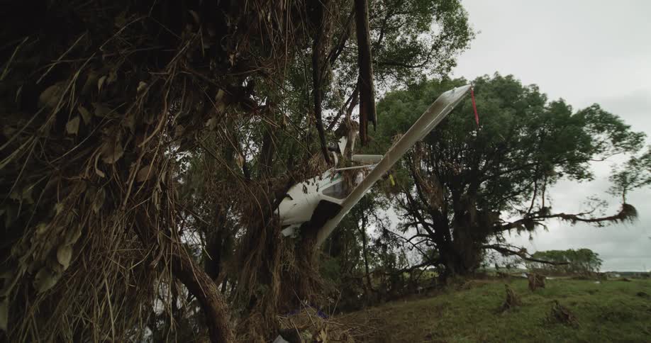 Small airplane stuck upside down in a tree