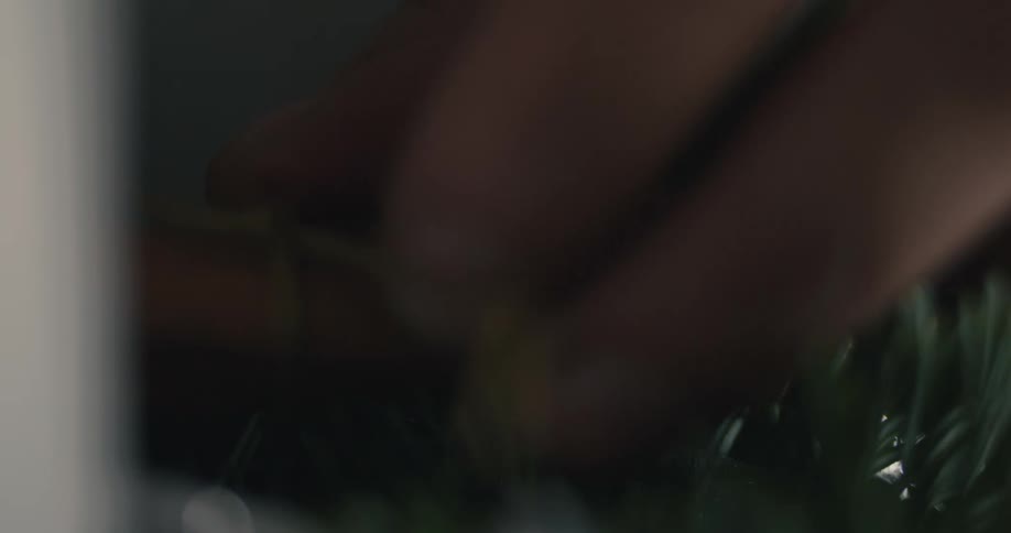 A hand gently placing a brown cinnamon stick onto the sharp green needles of a piece of holiday greenery highlighting the rough texture of the spice