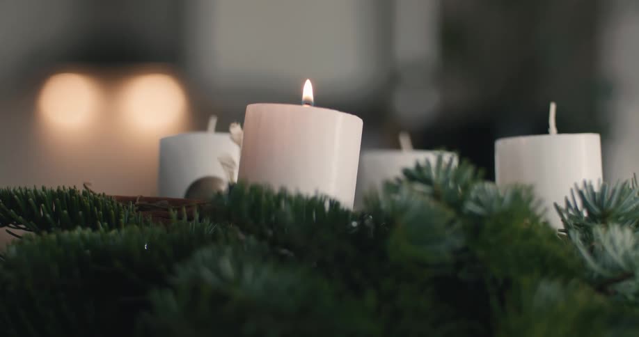 White candle surrounded by pine branches being extinguished