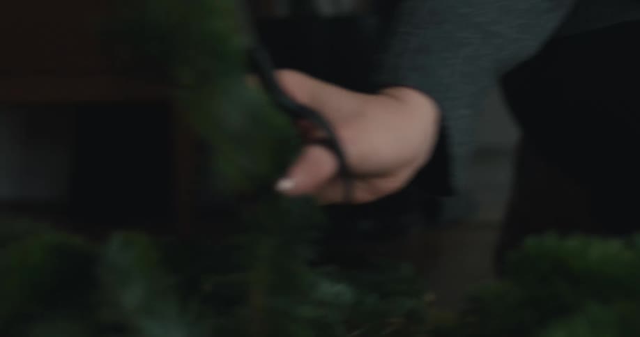 A person wearing a dark gray knitted sweater is seen using sharp shears or scissors to trim a large branch of evergreen pine or spruce needlesthe focus is on the closeup action of their hands working with the dark green foliage likely while prepari
