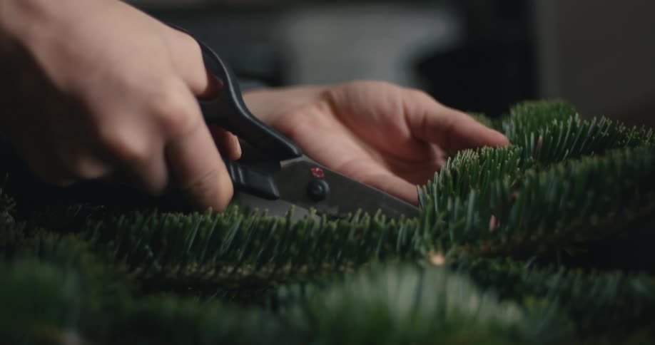 The closeup videos show a persons hands using shears to cut and trim evergreen branches and needles likely for crafting a holiday decoration like a wreathone clip focuses on the precise trimming of the branch ends while the other shows the cutting