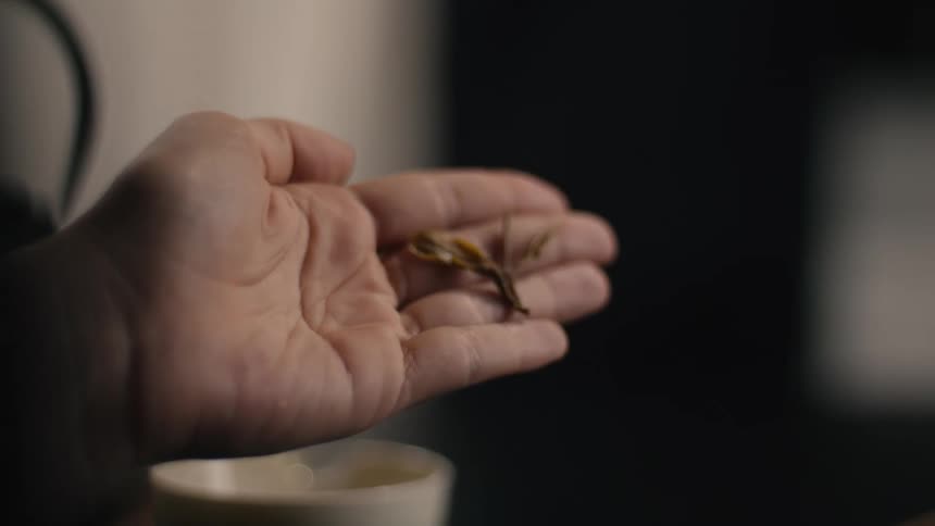 A person showing off a tea leaf