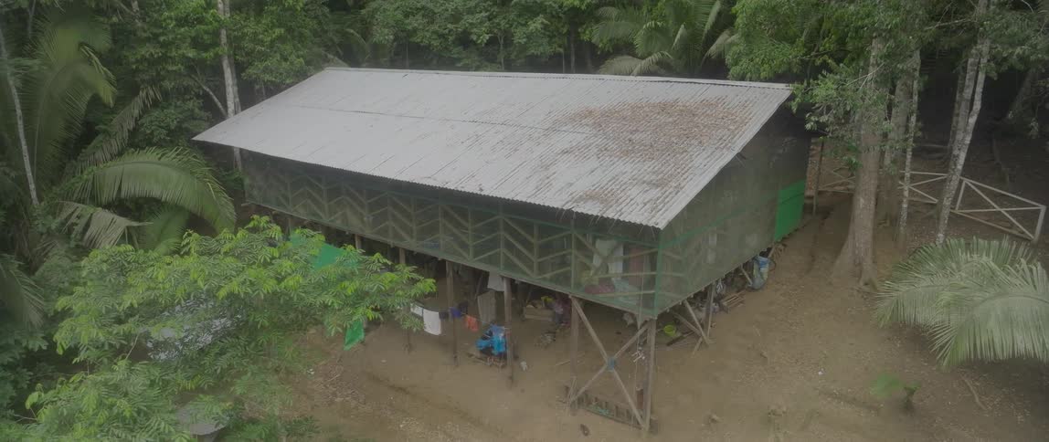 Elevated house on a slope surrounded by trees outdoors during day time