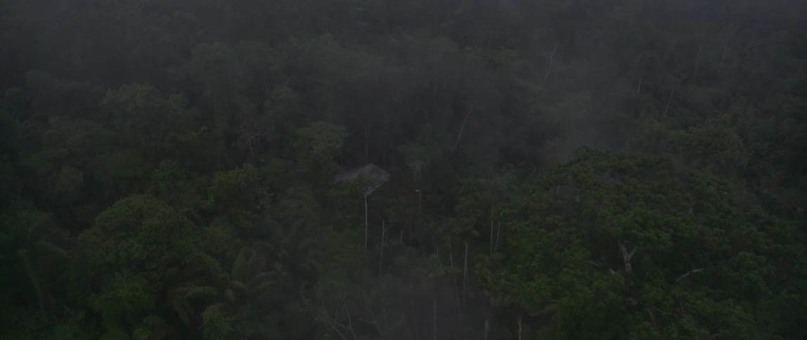 An aerial view pans slowly over a dense misty rainforest canopy dominated by various shades of dark green foliage as the camera descends a small remote dwelling with a simple lightcolored roof becomes visible nestled deep within the trees