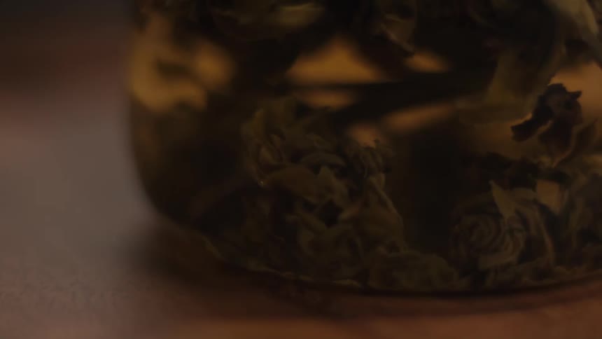 A very closeup dimly lit shot focuses on green rolled tea leaves slowly unfurling and sinking in ambercolored hot water inside a glass container on a wooden surface