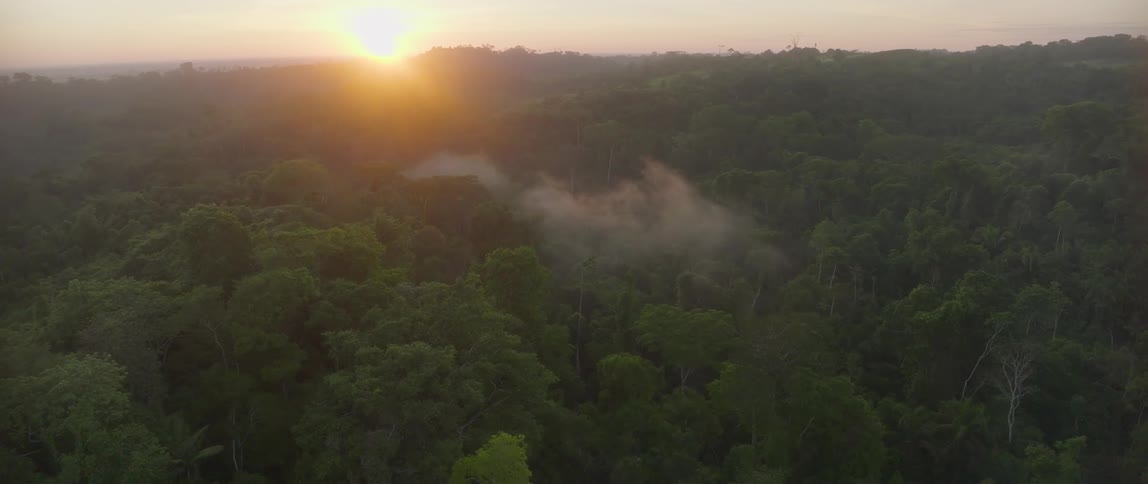 An aerial view shows the sun setting over a dense green jungle casting an orange glow and creating a sunburst effect as mist rises from the tropical forest canopy