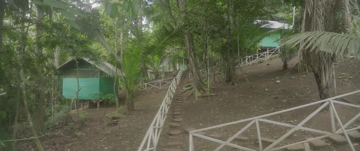 Wooden cabins sit along a dirt hillside path in the middle of a lush forest