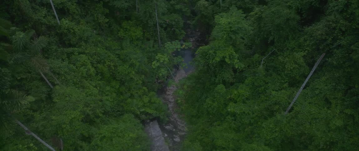 Aerial view moving over a stream in a tropical forest