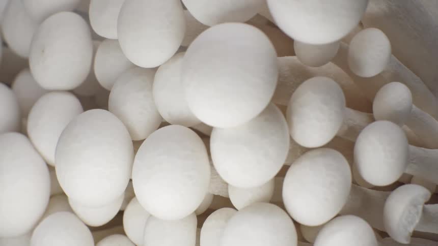 A close view shows white shimeji mushrooms with rounded caps and long stems tightly packed together in soft lighting against a dark background