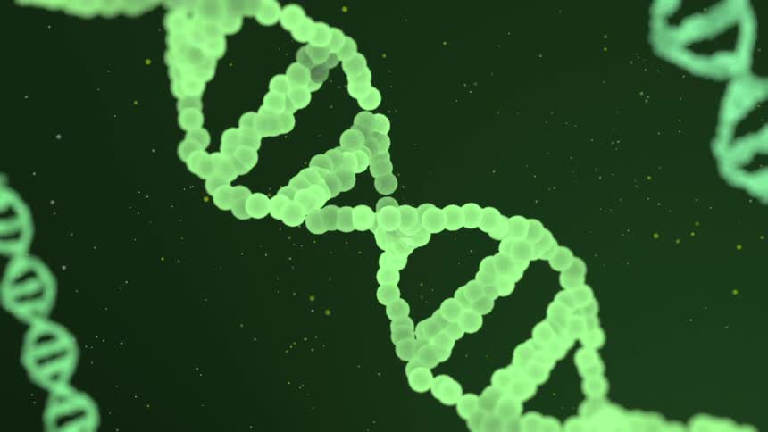 A slowly rotating 3d molecular visualization of a luminous green dna double helix against a dark green background with scattered yellow particles