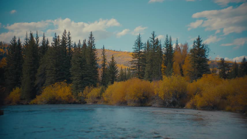 A calm lake reflects a forest of golden autumn trees and distant hills under a bright blue sky