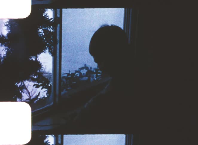 Portrait of a male child standing by the window indoors during daytime
