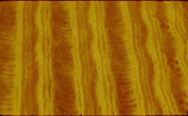 An extreme closeup drifts over vertical rows of yellow knitted yarn alternating between sharp fibrous detail and a soft abstract blur to highlight the warmth of the material