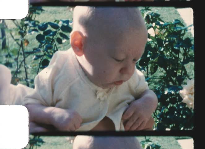 A portrait of a baby outdoors on a sunny day