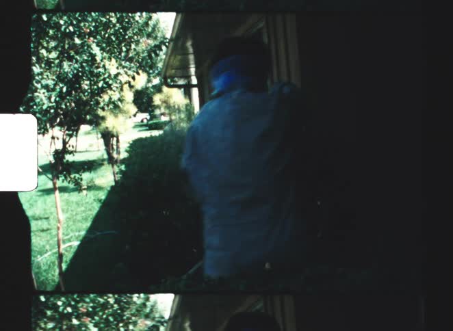 A man watering plants in a garden