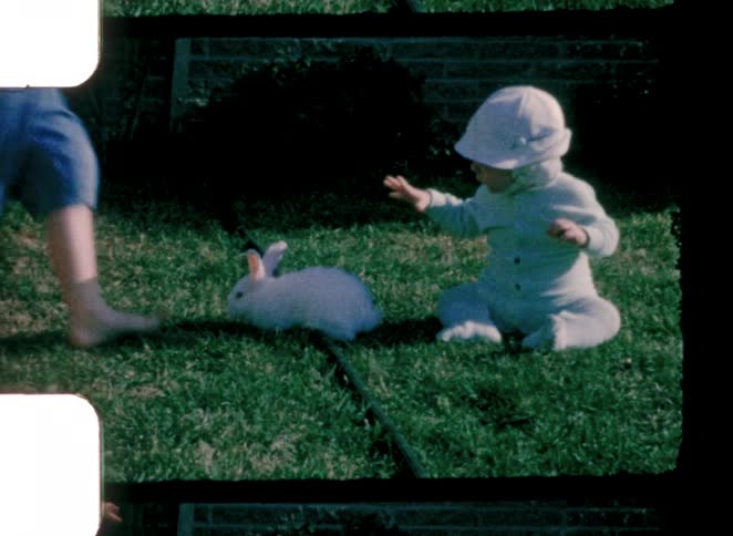 The white rabbit runs from the boy