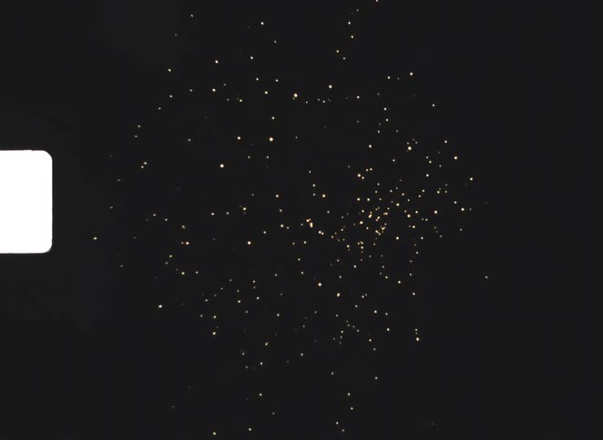 Fireworks light up the night sky on a grainy vintage looking film