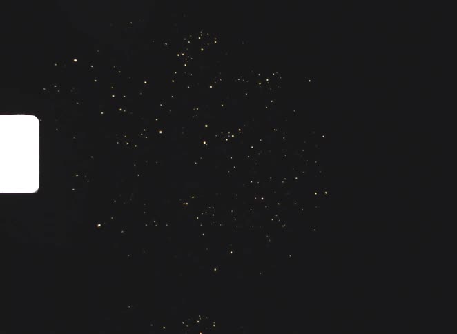 Tiny golden sparks floats against a deep black background radiating outward in an organic fireworklike cluster that suggests drifting embers or luminous particles suspended in darkness